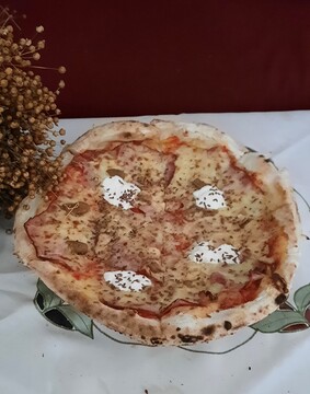 Pica lisička z lanom Foto T. Pal